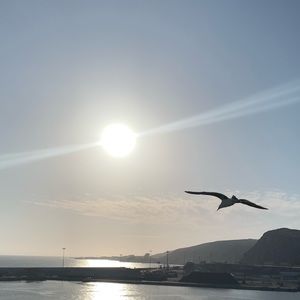 Meet your Posher, Marlene